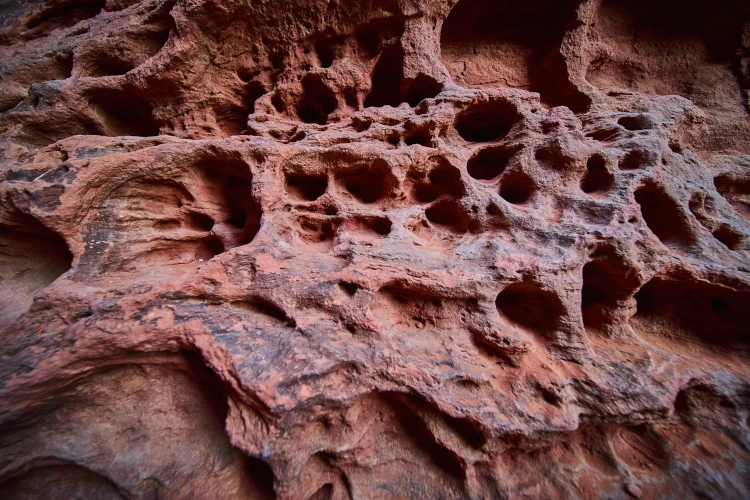 How To Deal With Hair Transplant Trypophobia?